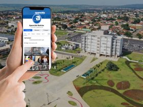 Como um portal seleciona as informações mais relevantes para os leitores? 3 aparecida noticias de aparecida de goiania 5 1