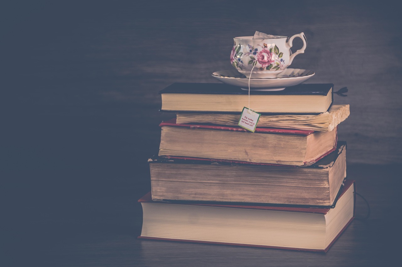 Educação antirracista começa na infância: qual o papel dos livros? 25 literature 3091212 1280