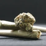 maconha back